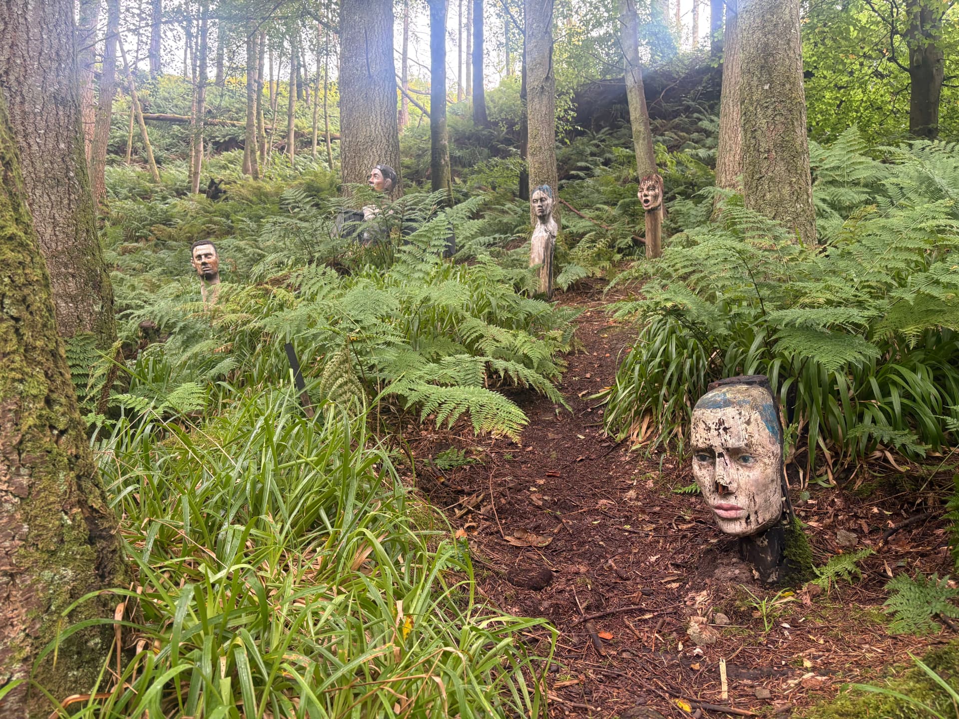 Carved wooden faces peeking out of the ferns along the trail at Kelburn