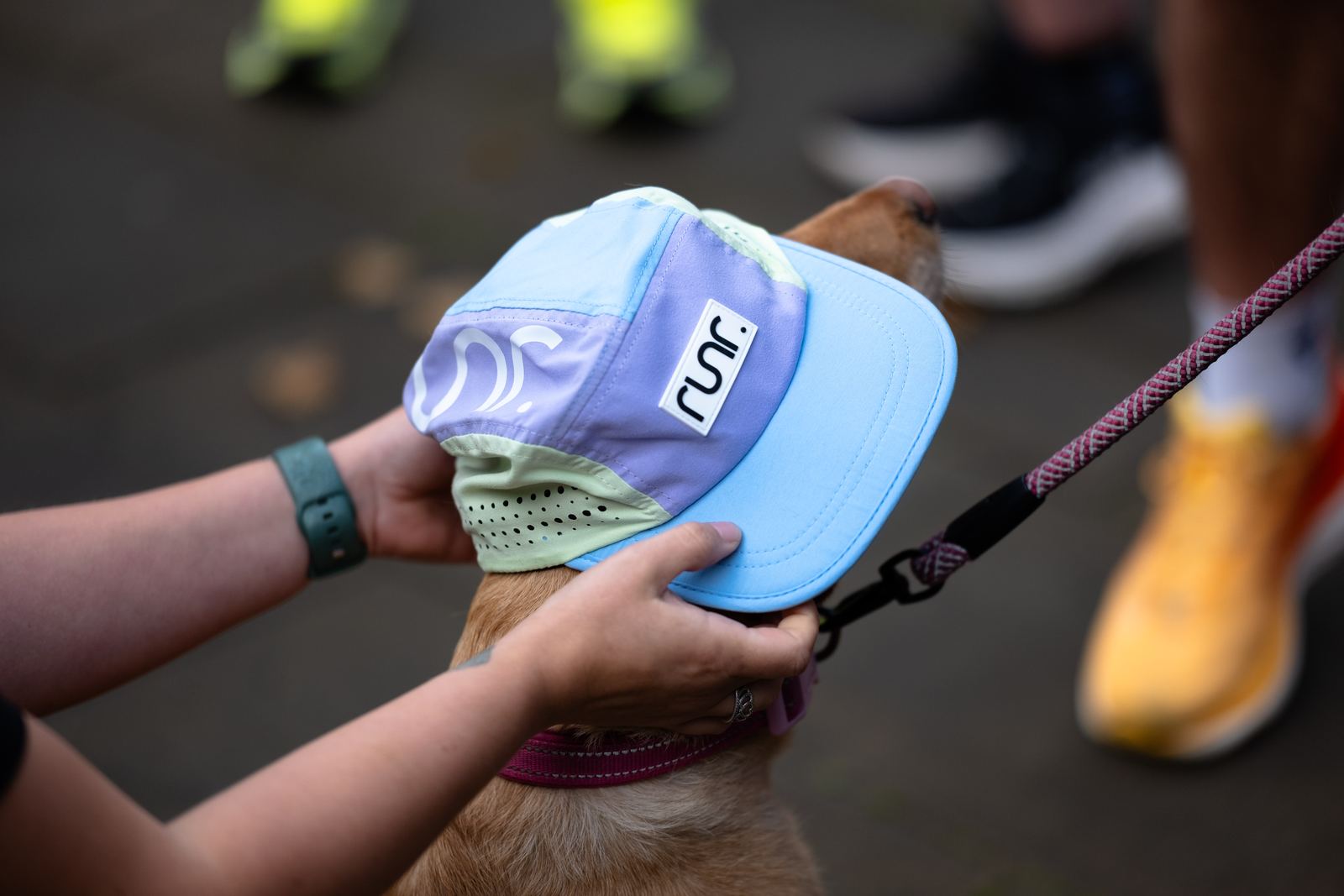 Big Glasgow Running Event - runners and the crowd on the day